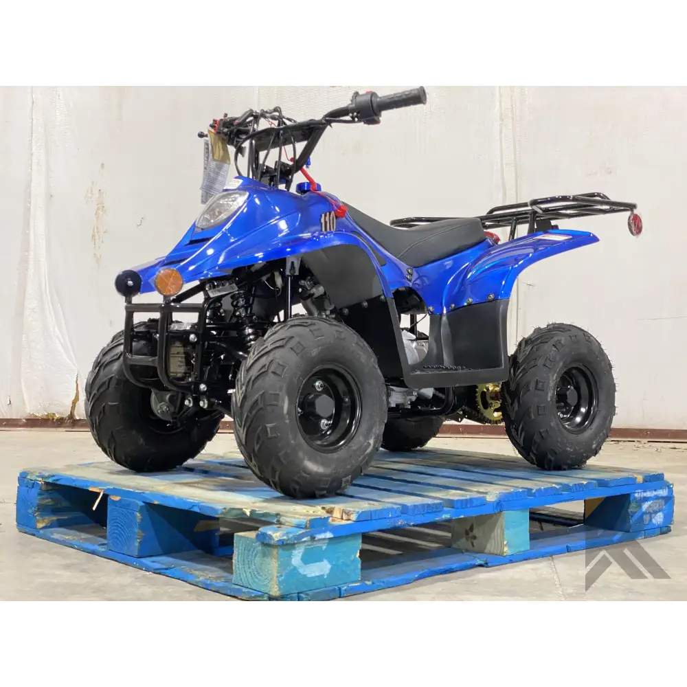 TaoMotor Boulder 110cc Kids ATV Kryptex Golf Carts