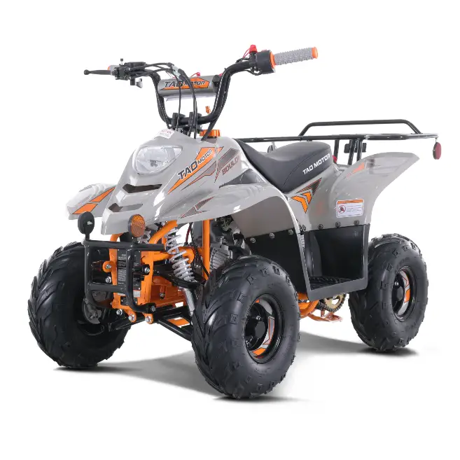 TaoMotor Boulder X 110cc Kids ATV Kryptex Golf Carts