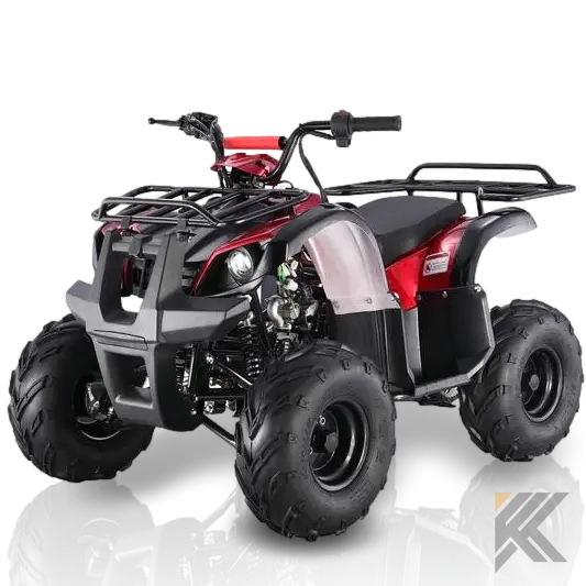 TaoMotor Spiker 110cc Kids ATV with Reverse Kryptex Golf Carts