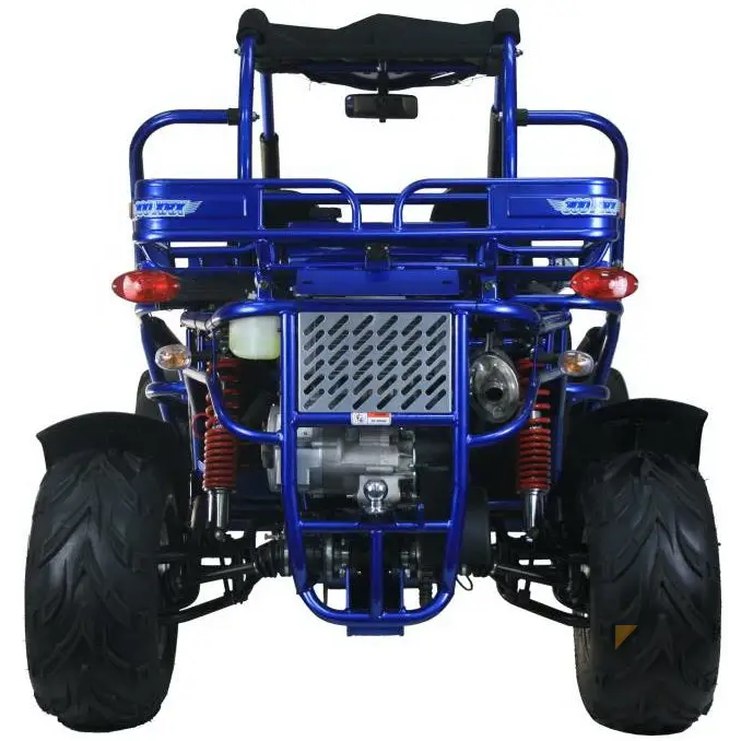 Trailmaster 300 XRX EFI Adult Go-Kart Buggy Kryptex Golf Carts
