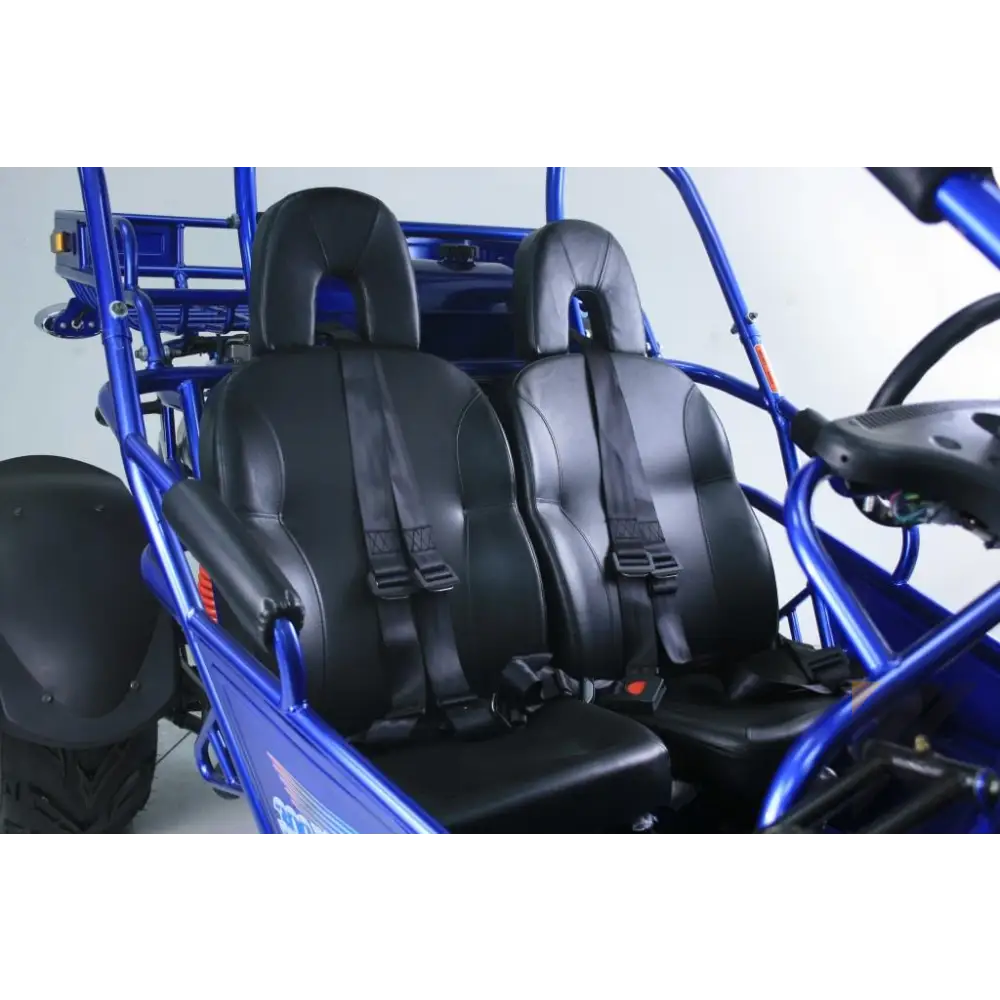 Trailmaster 300 XRX EFI Adult Go-Kart Buggy Kryptex Golf Carts