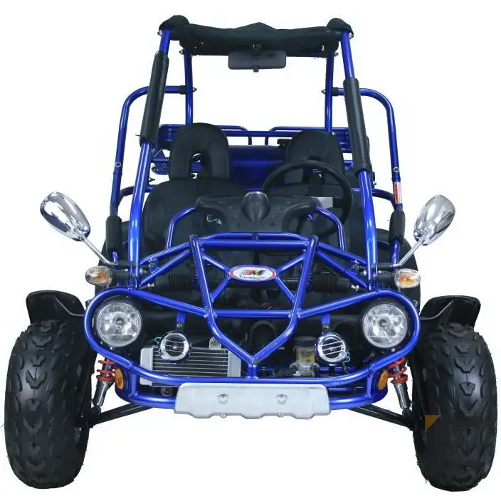 Trailmaster 300 XRX EFI Adult Go-Kart Buggy Kryptex Golf Carts