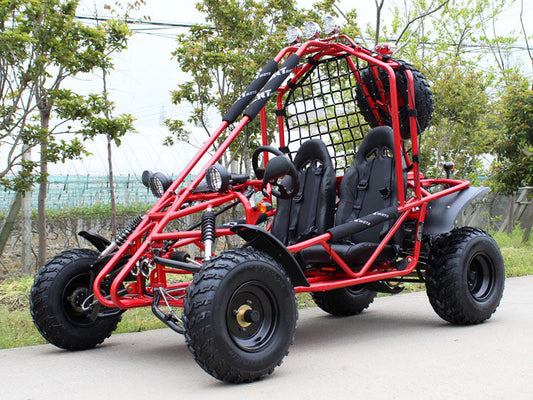 DongFang Spider 200 Adult Go-Kart Buggy Kryptex Golf Carts