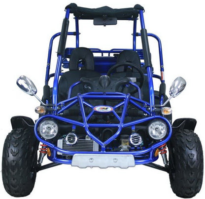 Trailmaster 300 XRX EFI Adult Go-Kart Buggy Kryptex Golf Carts