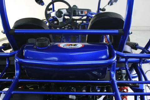 Trailmaster 300 XRX EFI Adult Go-Kart Buggy