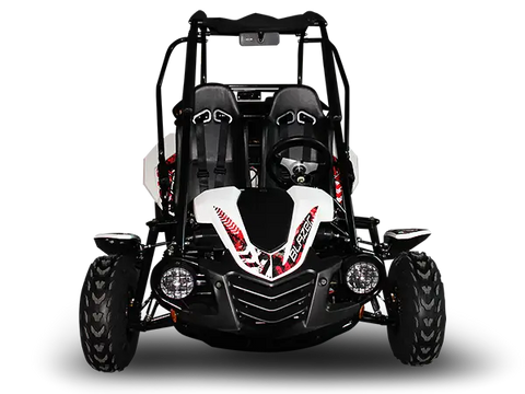 Trailmaster Blazer 200X Adult Go-Kart Buggy
