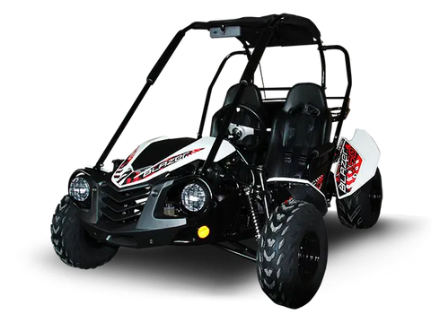 Trailmaster Blazer 200X Adult Go-Kart Buggy