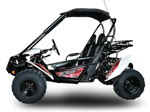 Trailmaster Blazer 200X Adult Go-Kart Buggy