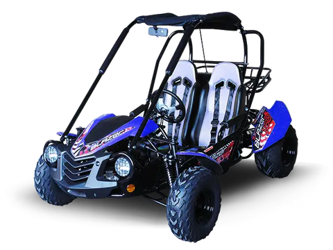 Trailmaster Blazer 200X Adult Go-Kart Buggy