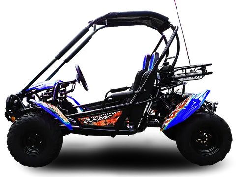 Trailmaster Blazer 200X Adult Go-Kart Buggy