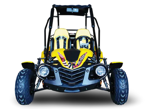 Trailmaster Blazer 200X Adult Go-Kart Buggy