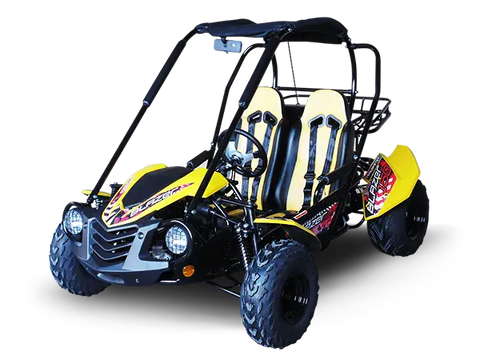 Trailmaster Blazer 200X Adult Go-Kart Buggy