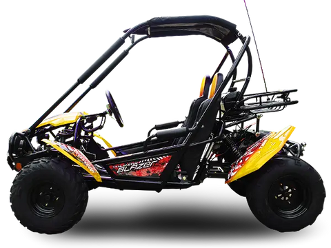 Trailmaster Blazer 200X Adult Go-Kart Buggy