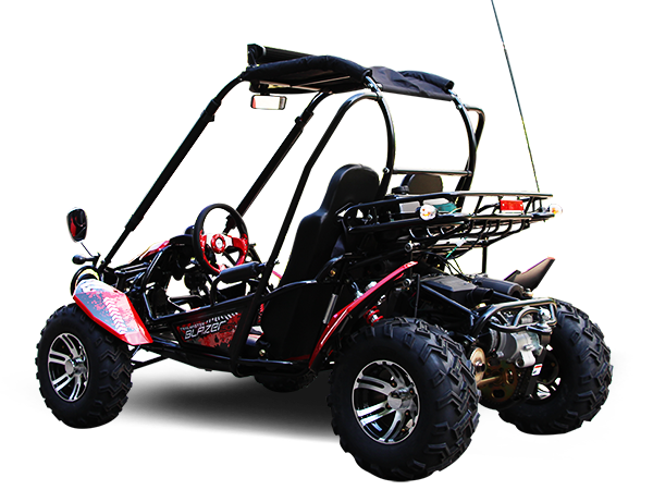 Trailmaster Blazer 200X Adult Go-Kart Buggy Kryptex Golf Carts