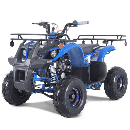 Taomotor D125 Kids ATV Kryptex Golf Carts