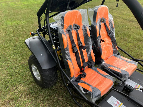 Dongfang Falcon Adult Go-Kart Buggy DF200GKA Big Bore 200 PowerStroke