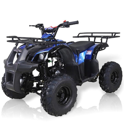 TaoMotor Spiker 110cc Kids ATV with Reverse Kryptex Golf Carts