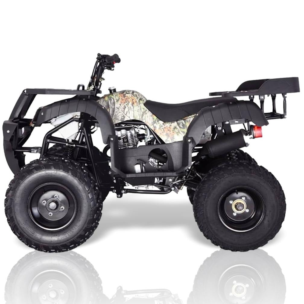 TaoMotor Rhino 250 ATV Kryptex Golf Carts