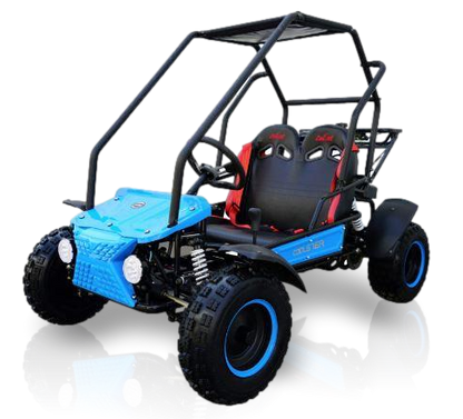 Coolster RX 125cc Go Kart Kryptex Golf Carts