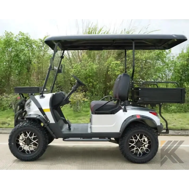 Electric Club Cart - 2Seats Kryptex Golf Carts