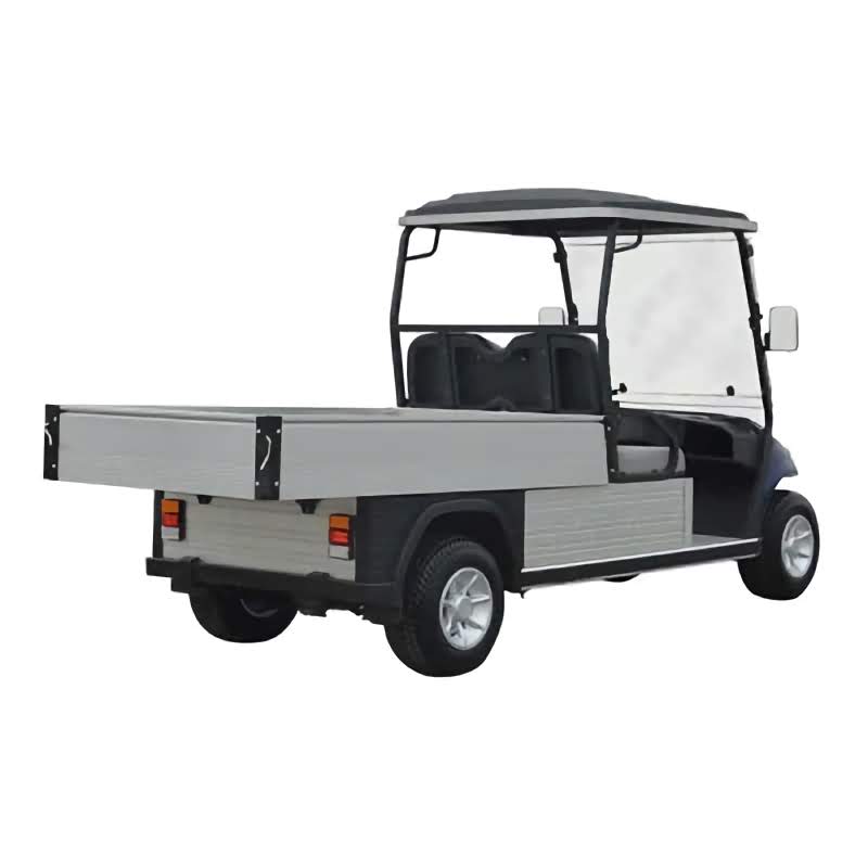 2 Passenger Electric Golf Cart with Utility Box Kryptex Golf Carts