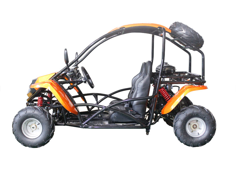 T-Rex 125 Children's Go-Kart Buggy, 125cc 4 Stroke Kryptex Golf Carts