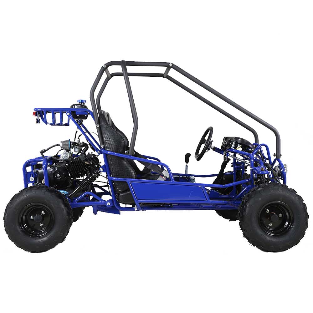 TaoMotor 107cc Kids Go Kart Kryptex Golf Carts