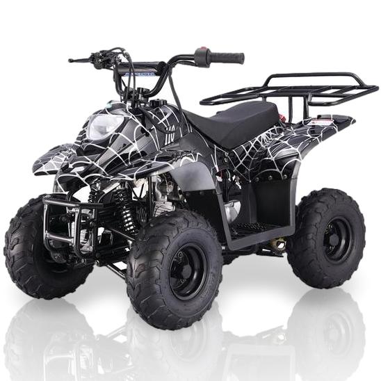 TaoMotor Boulder 110cc Kids ATV Kryptex Golf Carts