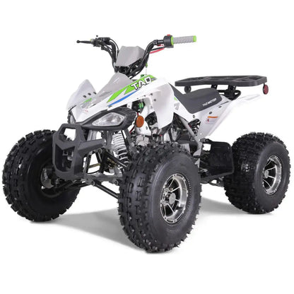 TaoMotor 125cc Cheetah DLX Kids ATV Kryptex Golf Carts