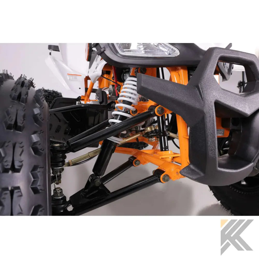TaoMotor 125cc Cheetah DLX Kids ATV Kryptex Golf Carts