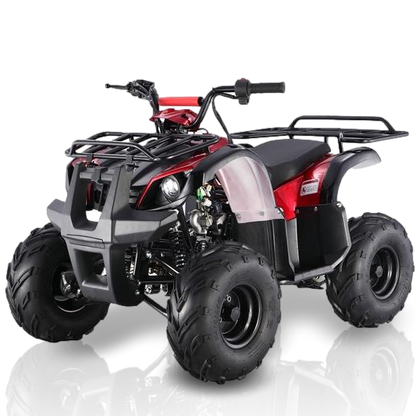 TaoMotor Spiker 110cc Kids ATV with Reverse Kryptex Golf Carts