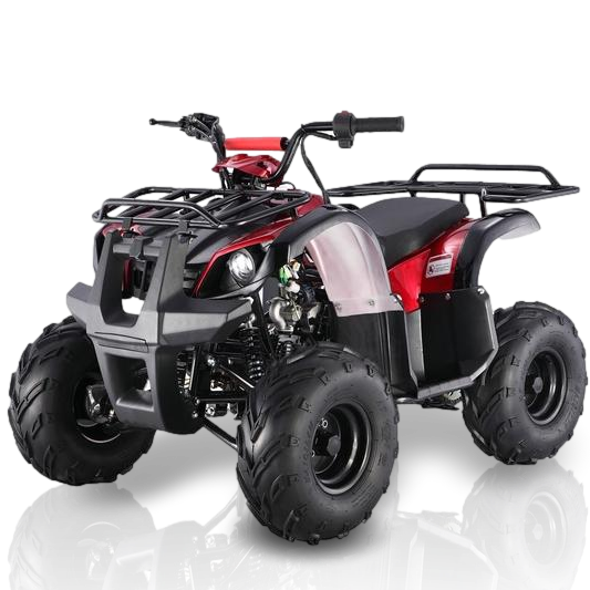 TaoMotor Spiker 110cc Kids ATV with Reverse Kryptex Golf Carts