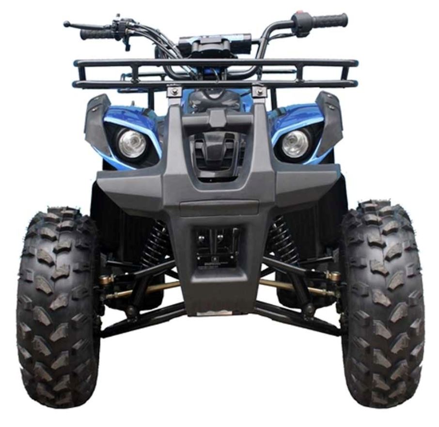 TaoMotor Trooper T125 Kids ATV Kryptex Golf Carts