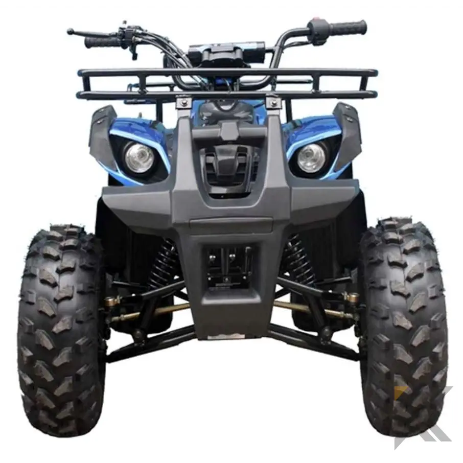 TaoMotor Trooper T125 Kids ATV Kryptex Golf Carts