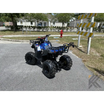 TaoMotor Trooper T125 Kids ATV Kryptex Golf Carts