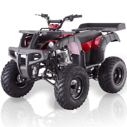 TaoMotor Rhino 250 ATV Kryptex Golf Carts