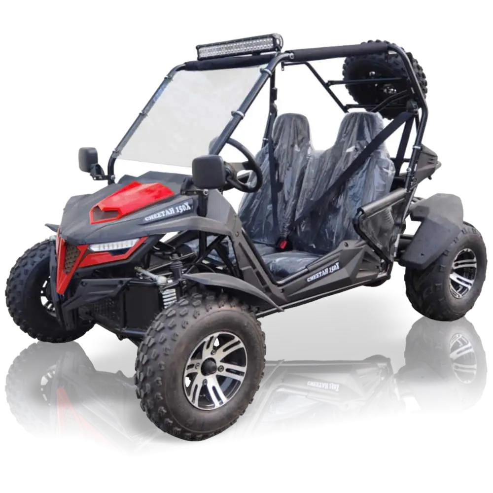 Trailmaster Cheetah 200X