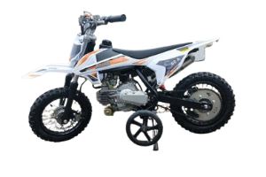 DB-60cc Kids Dirt Bike w/ Training Wheels Kryptex Golf Carts