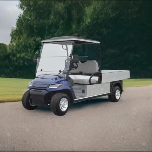 2 Passenger Electric Golf Cart with Utility Box