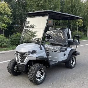 2024 Electric Golf Cart with Lithium Battery