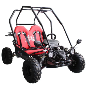 Ace 125 Children's Go-Kart Buggy, 125cc 4 Stroke