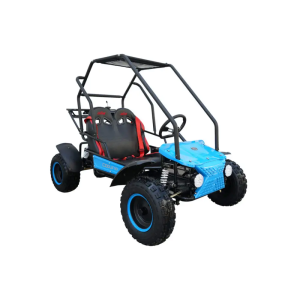 COOLSTER 125GK-B Children's Go-Kart Buggy, 125cc 4 Stroke