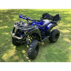 Coolster Kodiak 3150 DX4 150 Adult Quad ATV