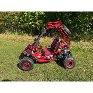 Dongfang Captain Children's Go-Kart Buggy 200GSA, 4-Stroke 196cc