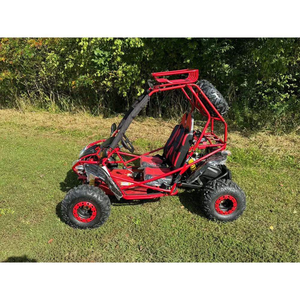Dongfang Captain Children's Go-Kart Buggy 200GSA, 4-Stroke 196cc
