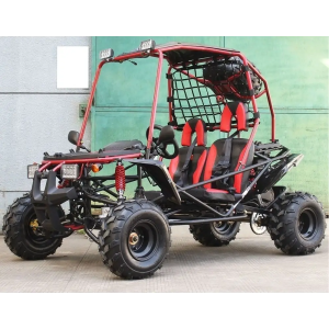 Dongfang Cowboy 200GSX Youth Go-Kart Buggy, 4-Stroke 196cc
