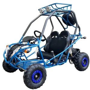 Dongfang DF200GVA Falcon Jr. Children's Go-Kart Buggy, 4-Stroke 196cc