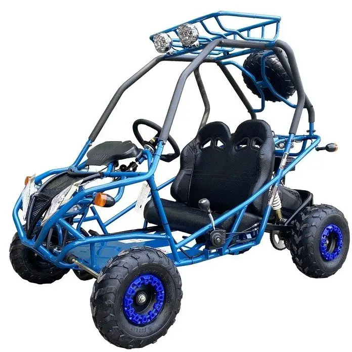 Dongfang DF200GVA Falcon Jr. Children's Go-Kart Buggy, 4-Stroke 196cc