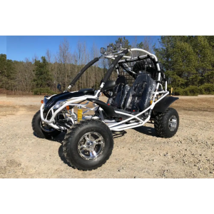 Dongfang Falcon Adult Go-Kart Buggy DF200GKA, Big Bore 200 PowerStroke
