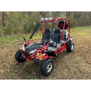 Dongfang Jaguar Adult Go-Kart Buggy DF200GKA-4, Big Bore 200 PowerStroke, 4 Seater